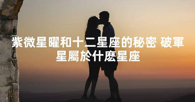 紫微星曜和十二星座的秘密 破軍星屬於什麽星座